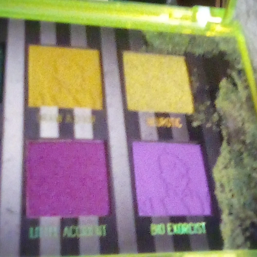 Melt Beetlejuice pallet called recently deceased new in the box